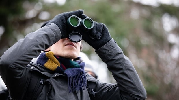 “Expert Birdwatchers Show Unique Brain Changes, Defying Aging”