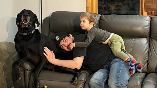 “Community Rally Saves Dog Who Ingested 100 Pills”