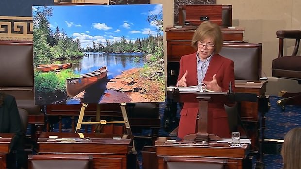 Republicans Pass Resolution to Lift Mining Ban in Boundary Waters