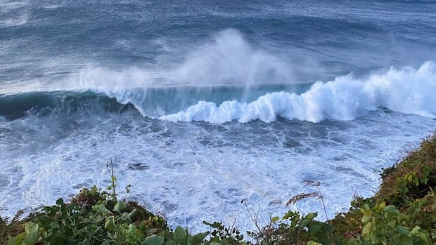 “Climate Fiction Becomes Reality as Atlantic Ocean Current Weakens”