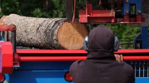 “B.C. Court Invalidates Forest Licence Transfer Amid Nation Consultation Failure”
