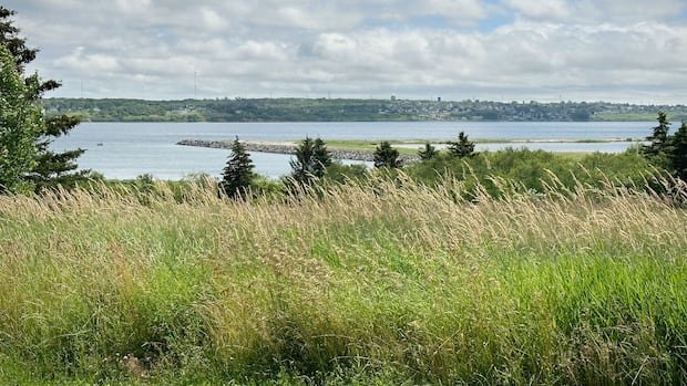 “Negotiations Underway for Major Sydney Harbor Development”