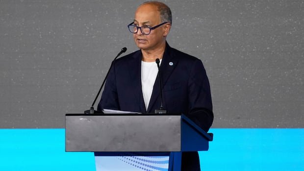 Russian Aquatic Athletes Cleared to Compete with Flag and Anthem