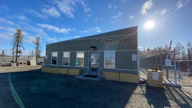 “N.W.T. SPCA Pushes for Recognition of Pets as Sentient Beings”