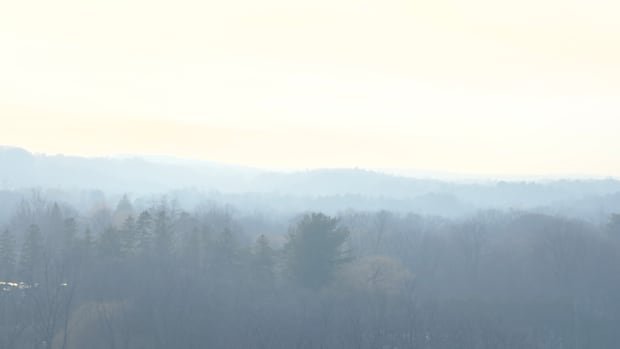 “Prolonged Air Pollution Exposure Linked to Cognitive Decline”