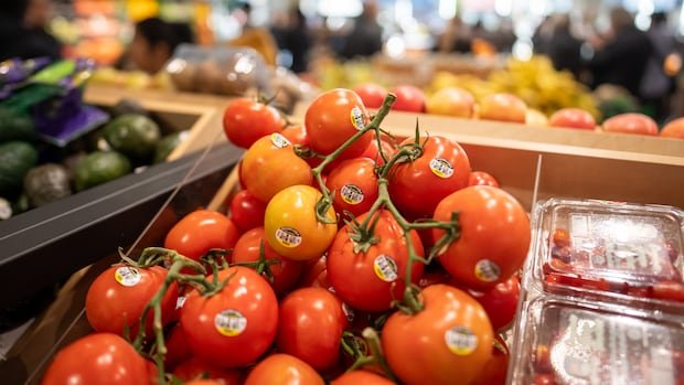 “Tomato Prices Skyrocket in US and Canada”