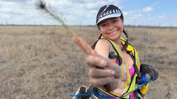 “Devastated by Wildfires, Manitoba Forests Struggle to Regenerate”