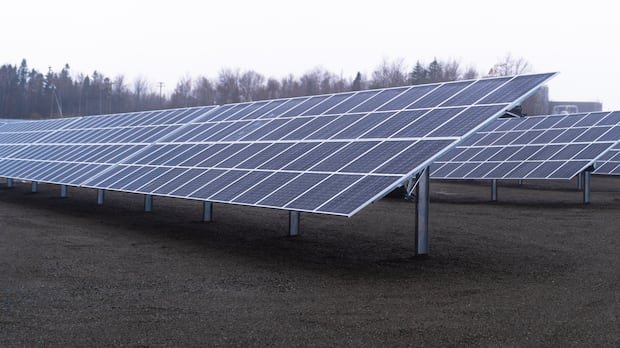 “Toronto Renewables Firm Expands Solar Gardens in Nova Scotia”