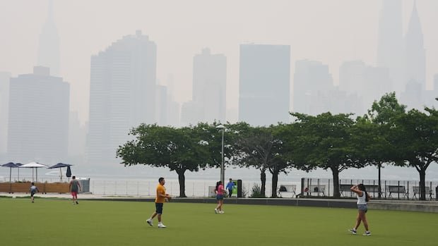 “Improved Air Quality Forecast for FIFA World Cup Final”