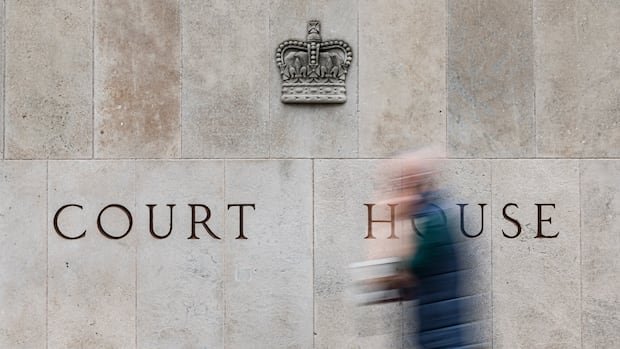 “Ontario man linked to neo-Nazi group pleads guilty to terror crimes”