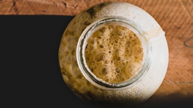 “Wild Yeast Research Revolutionizing B.C. Beer Industry”