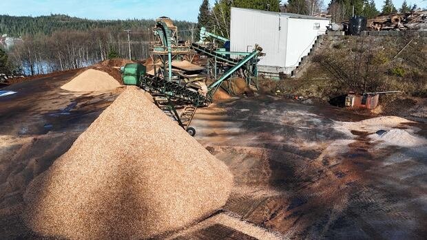 “Indigenous-Owned Wood Chip Facility Closes Amid Industry Challenges”