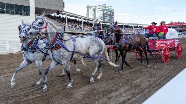 “Calgary Stampede Wraps Up with 1.4M Attendance”