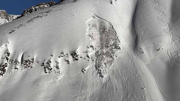 “Skier Escapes Unharmed in Backcountry Avalanche”