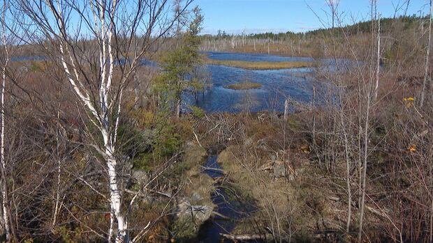 “Halifax Council Pushes for Results from Green Network Plan Amid Development Pressures”