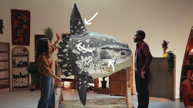 “The Nature of Things 101 Uncovers Secrets of Massive Ocean Sunfish”