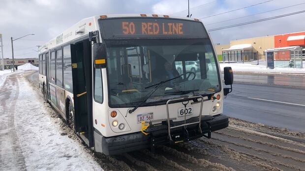 Moncton Unveils Ambitious 8-Year Bus Growth Plan