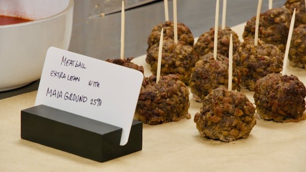 “Maia Farms Introduces Mycelium-Based Protein Innovation”