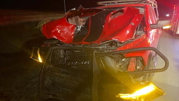 Metal Bars Save Man’s Life in Moose Collision
